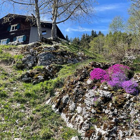 Alpenchalet Piz Huesli Tschagguns Exterior foto