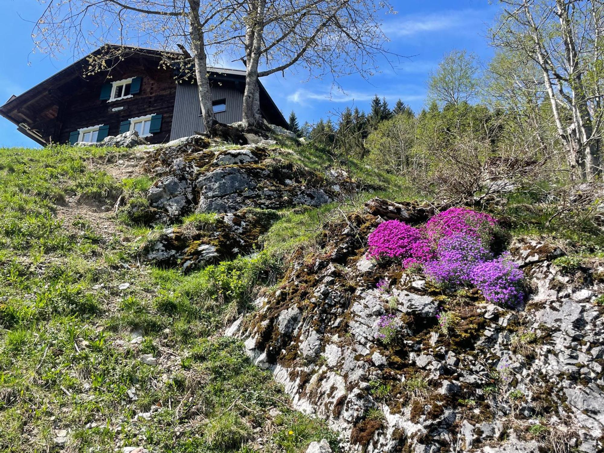 Alpenchalet Piz Huesli Tschagguns Exterior foto